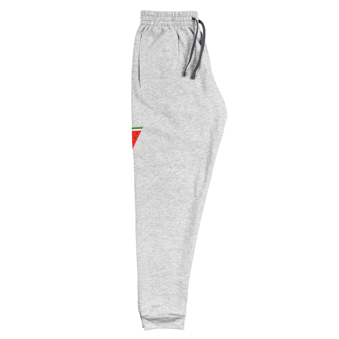 Women Joggers - Triangle Watermelon, Heather