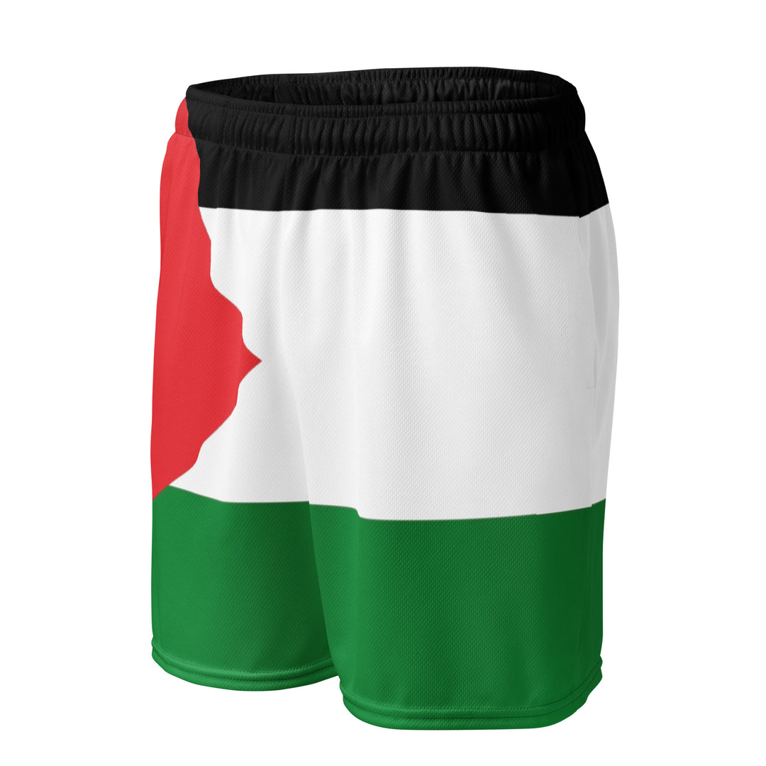 Women mesh shorts - Palestine Flag, Recycled Unisex Mesh Shorts White