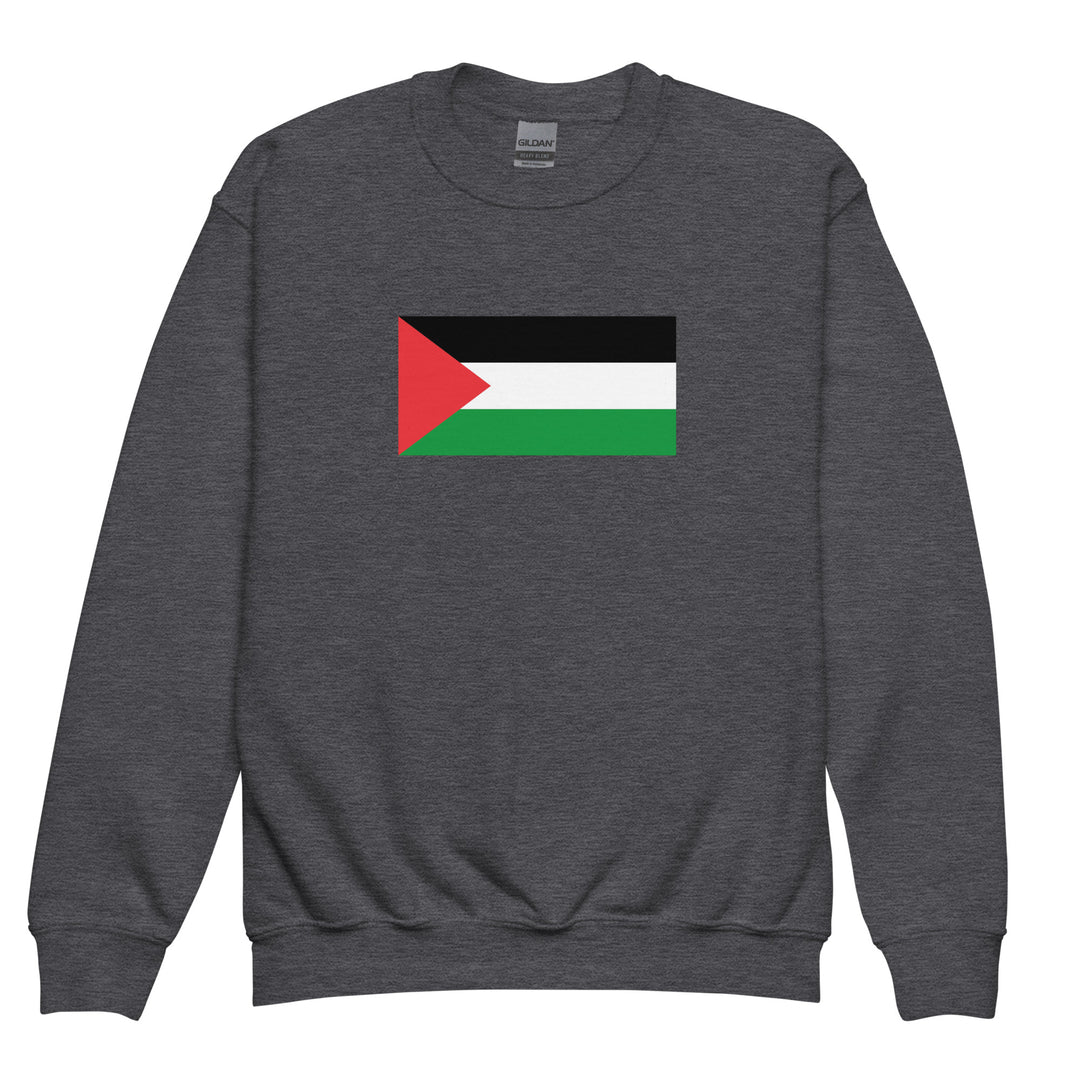 Youth crewneck sweatshirt - Palestine Flag, Dark Heather