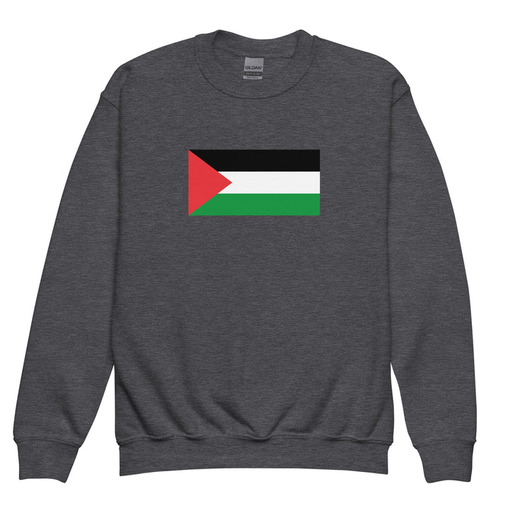 Youth crewneck sweatshirt - Palestine Flag, Dark Heather