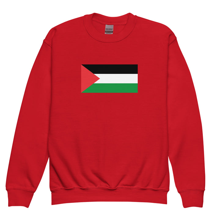 Youth crewneck sweatshirt - Palestine Flag, Red