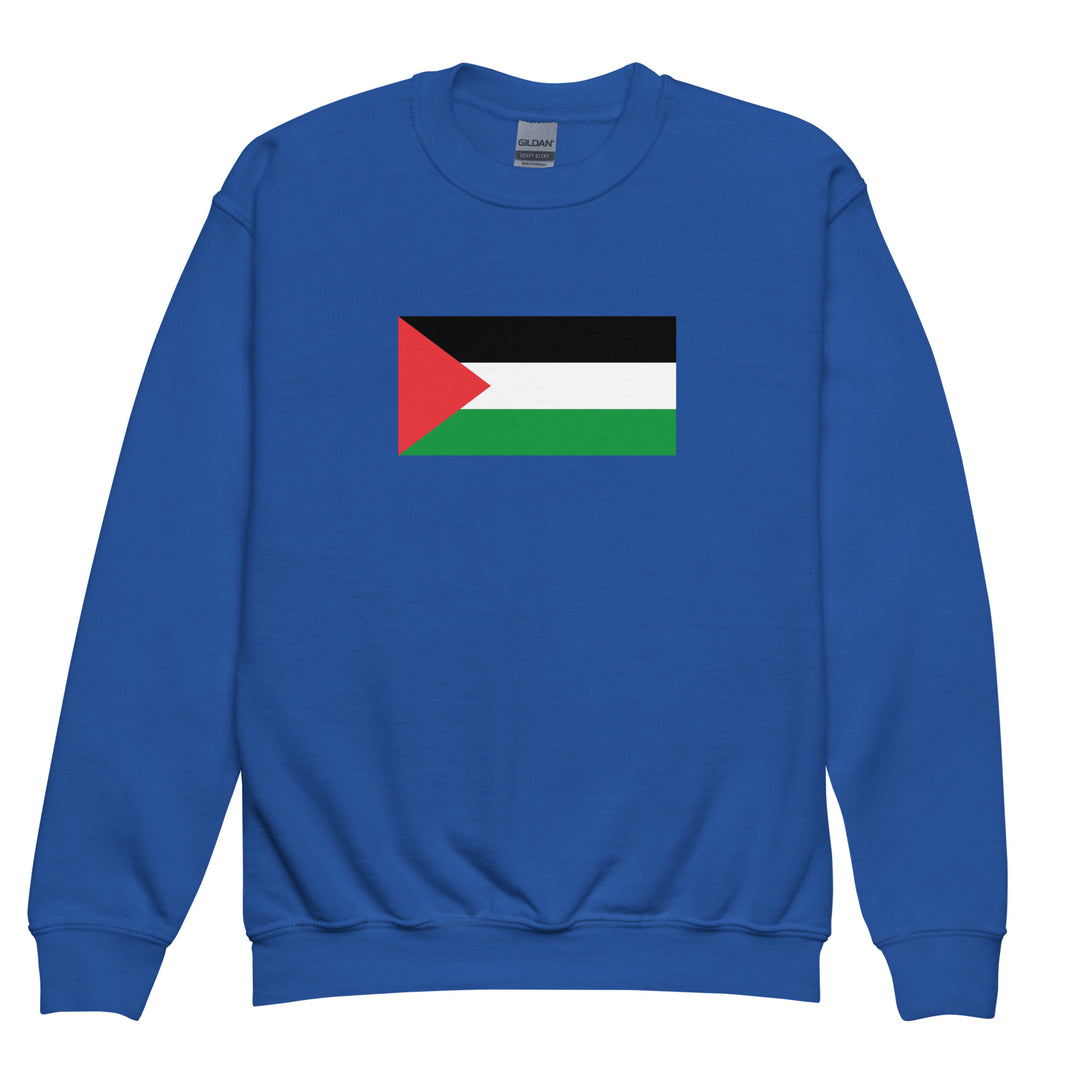 Youth crewneck sweatshirt - Palestine Flag, Royal