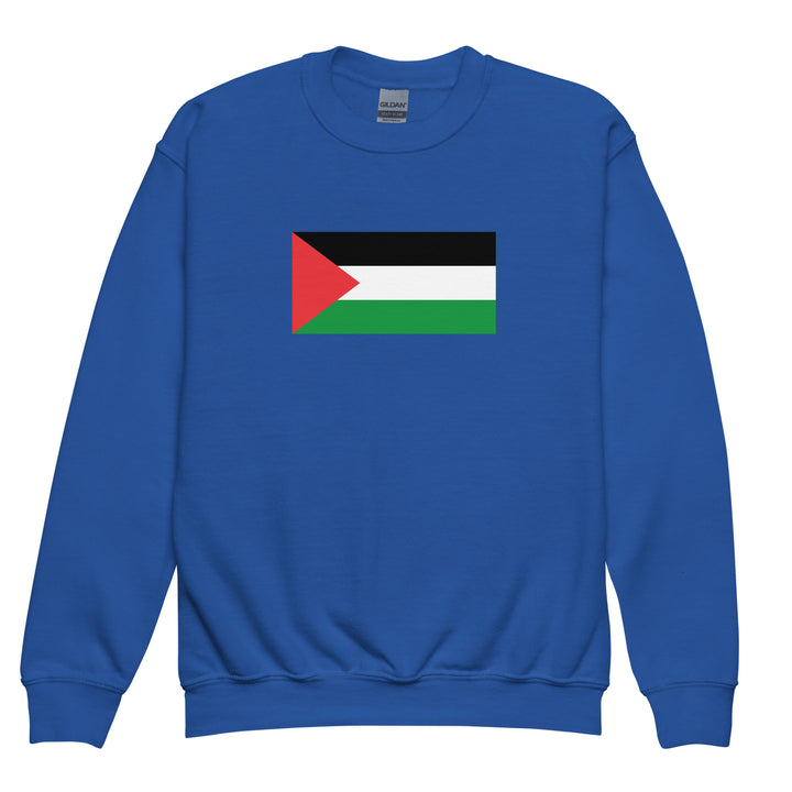 Youth crewneck sweatshirt - Palestine Flag, Royal