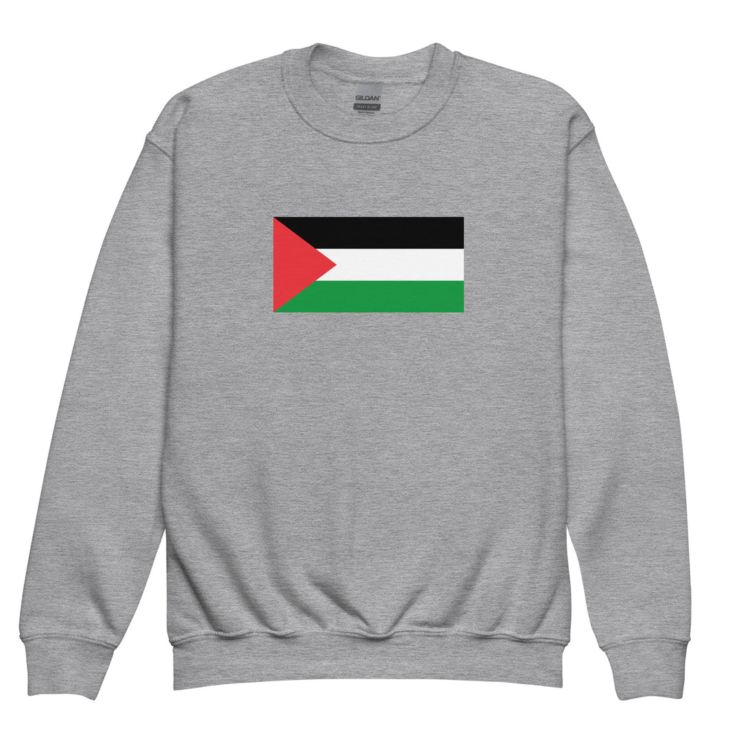 Youth crewneck sweatshirt - Palestine Flag, Sport Grey
