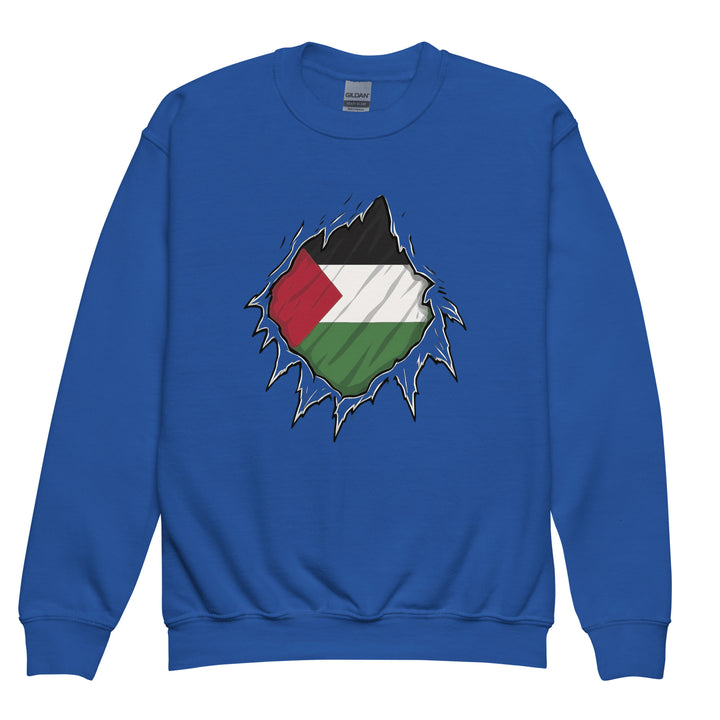Youth Crewneck Sweatshirt - Palestine Hero, Royal