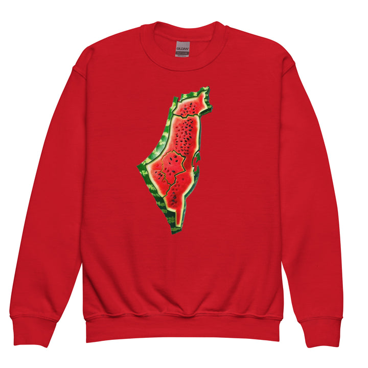 Youth crewneck sweatshirt - Palestine Watermelon, Red