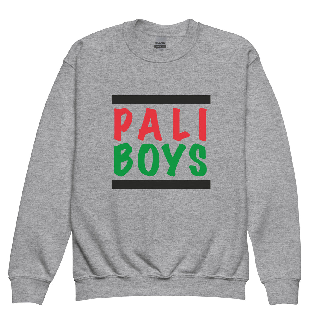 Youth Crewneck Sweatshirt - Palestinian Boys, Sport Grey
