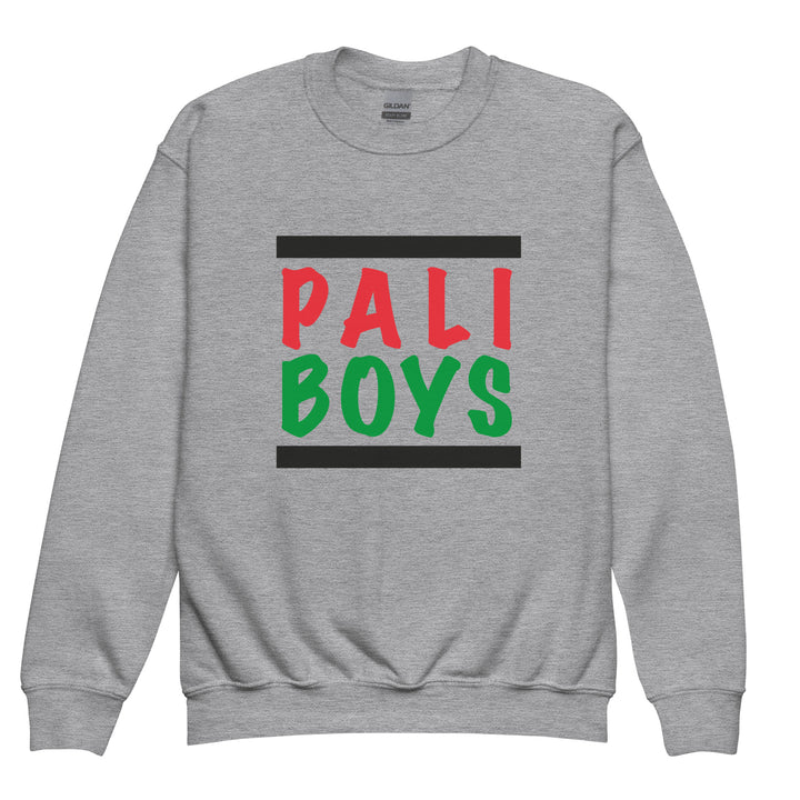 Youth Crewneck Sweatshirt - Palestinian Boys, Sport Grey