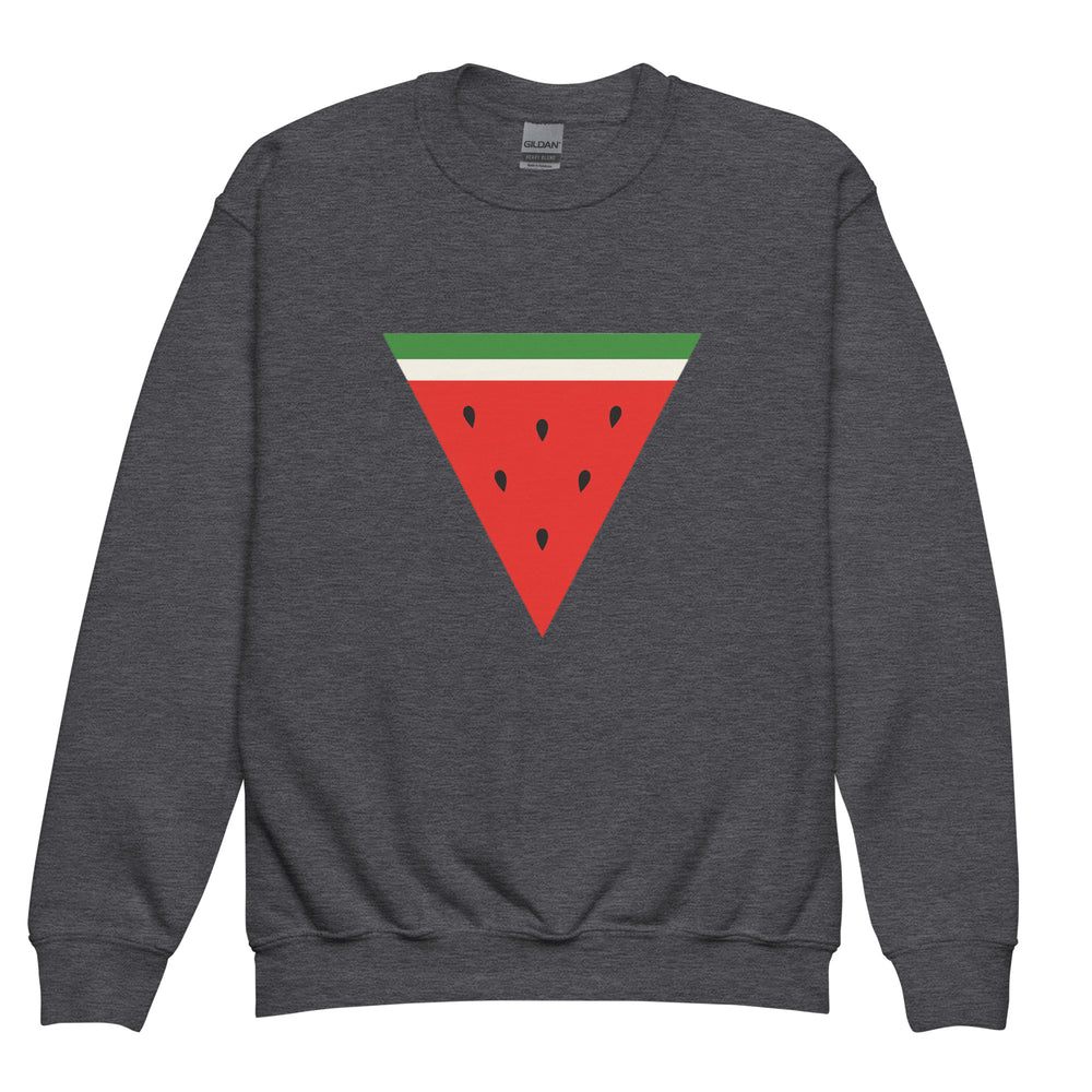 Youth crewneck sweatshirt - Triangle Watermelon, Dark Heather