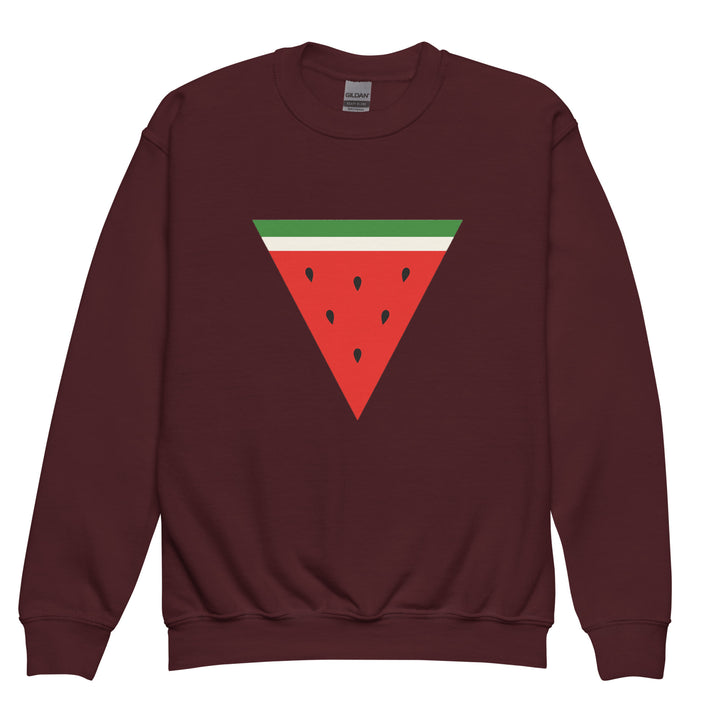 Youth crewneck sweatshirt - Triangle Watermelon, Maroon