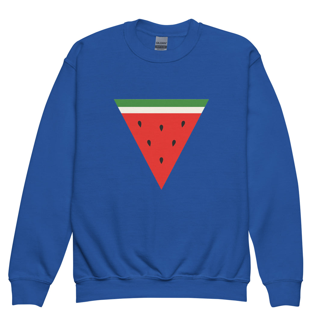 Youth crewneck sweatshirt - Triangle Watermelon, Royal