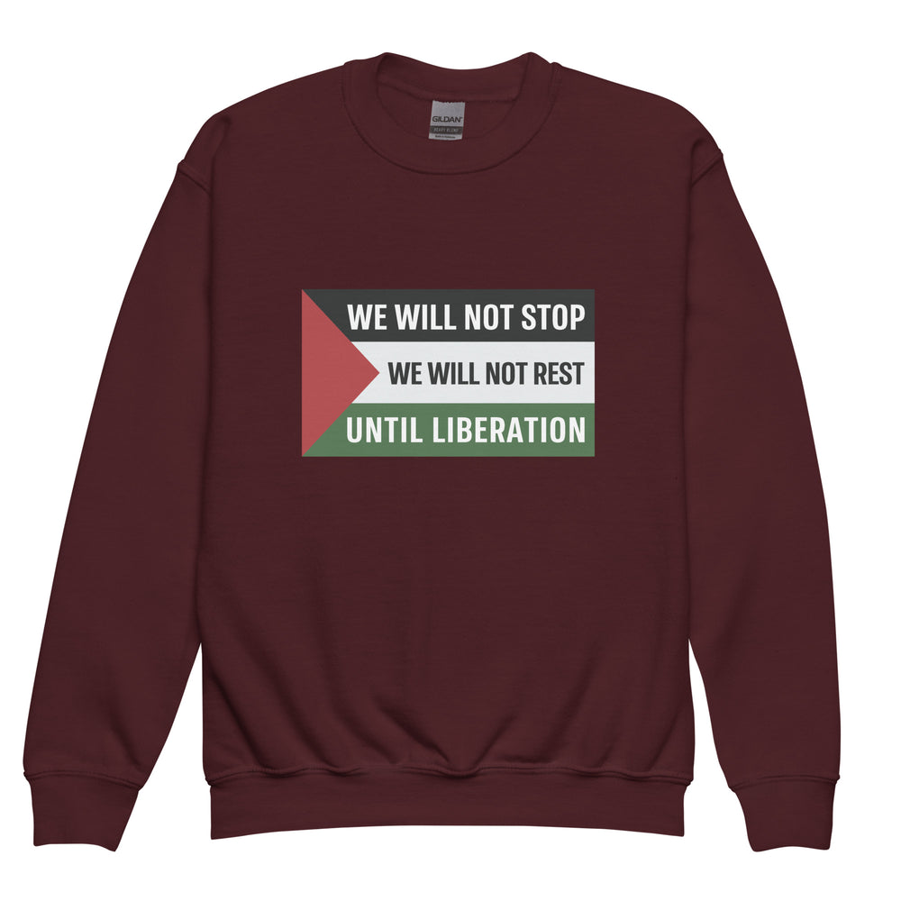 Youth Crewneck Sweatshirt - We Will Not Stop, Maroon