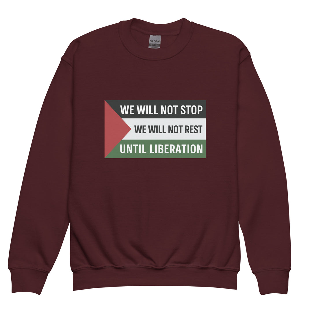 Youth Crewneck Sweatshirt - We Will Not Stop, Maroon
