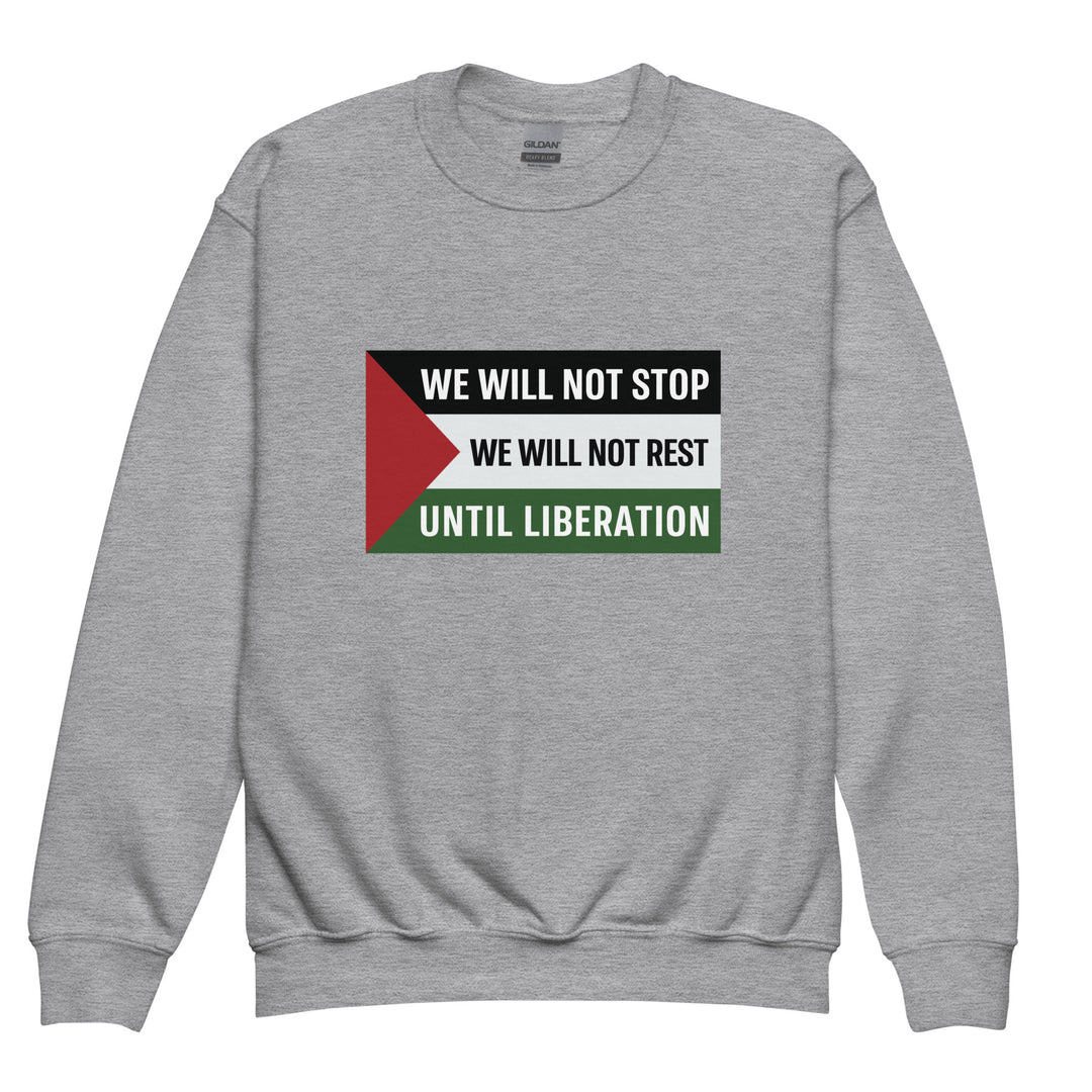Youth Crewneck Sweatshirt - We Will Not Stop, Sport Grey