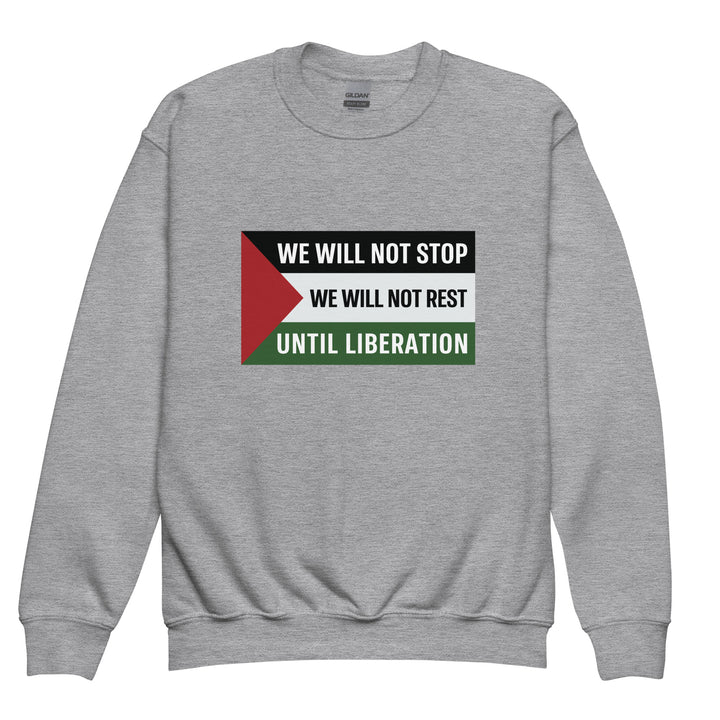 Youth Crewneck Sweatshirt - We Will Not Stop, Sport Grey