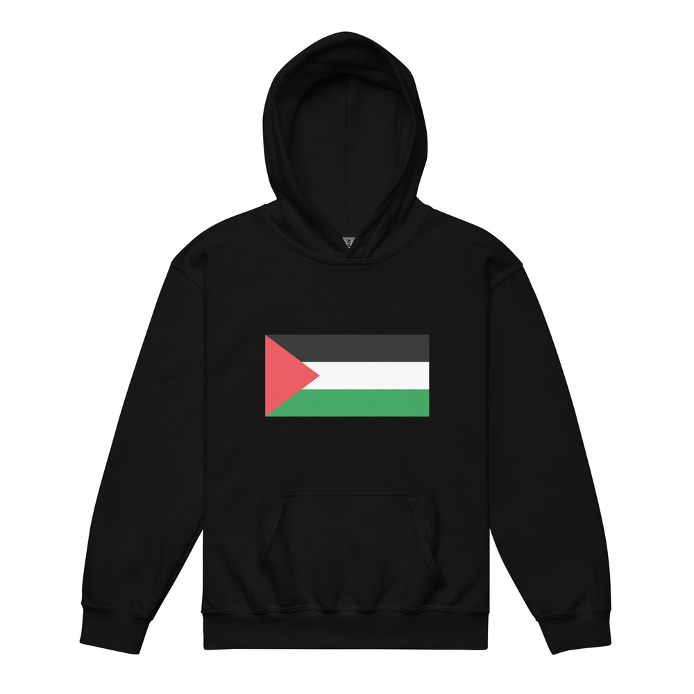 Youth heavy blend hoodie - Palestine Flag, Black