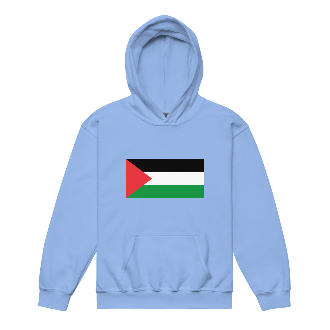 Youth heavy blend hoodie - Palestine Flag, Carolina Blue