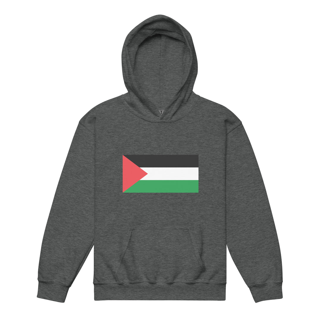 Youth heavy blend hoodie - Palestine Flag, Dark Heather