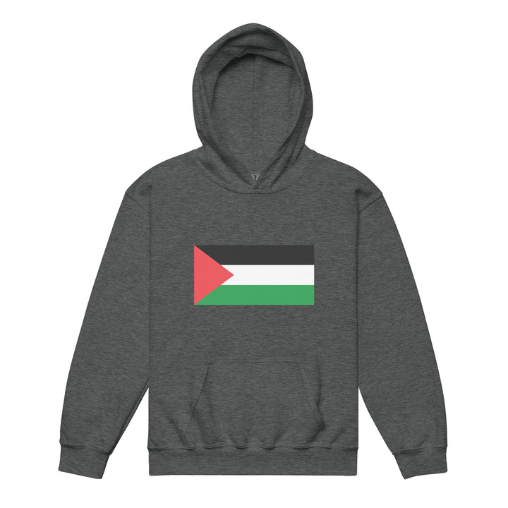 Youth heavy blend hoodie - Palestine Flag, Dark Heather
