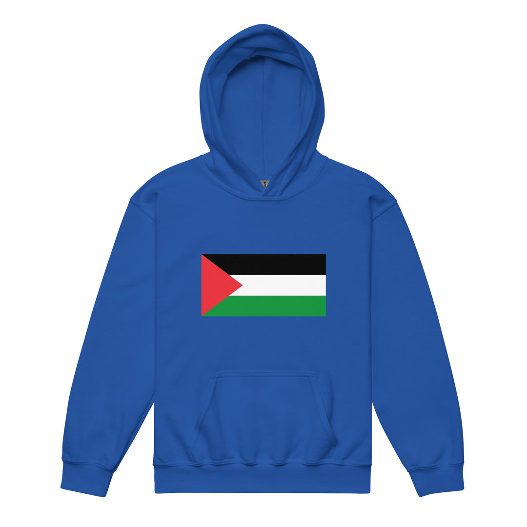 Youth heavy blend hoodie - Palestine Flag, Royal