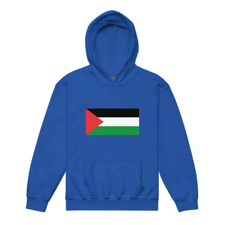 Youth heavy blend hoodie - Palestine Flag, Royal