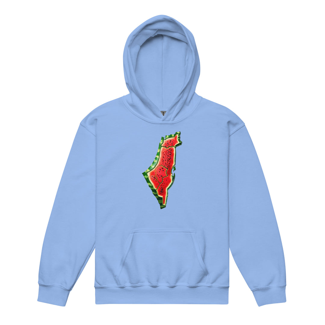 Youth heavy blend hoodie - Palestine Watermelon, Carolina Blue