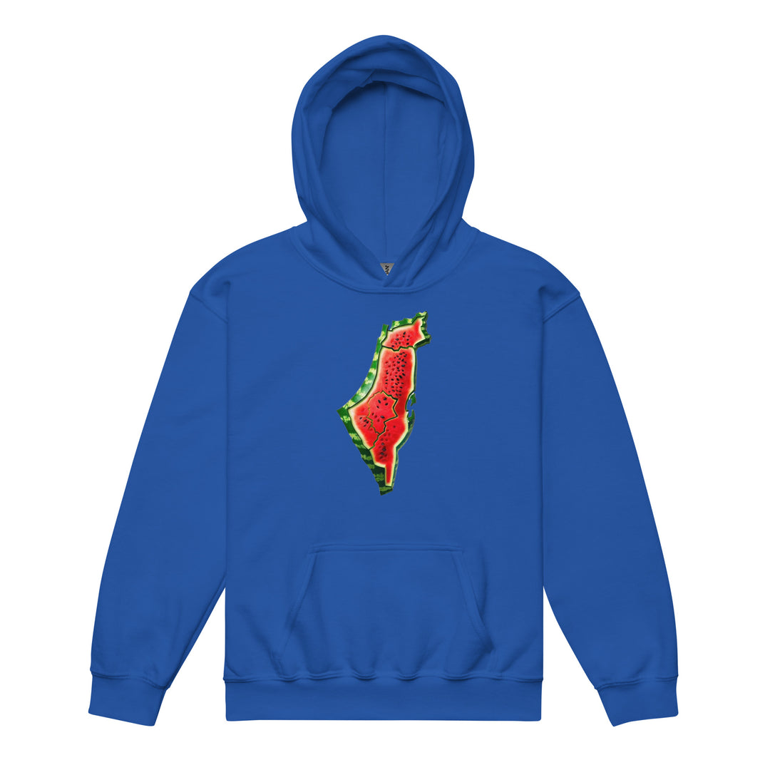 Youth heavy blend hoodie - Palestine Watermelon, Royal
