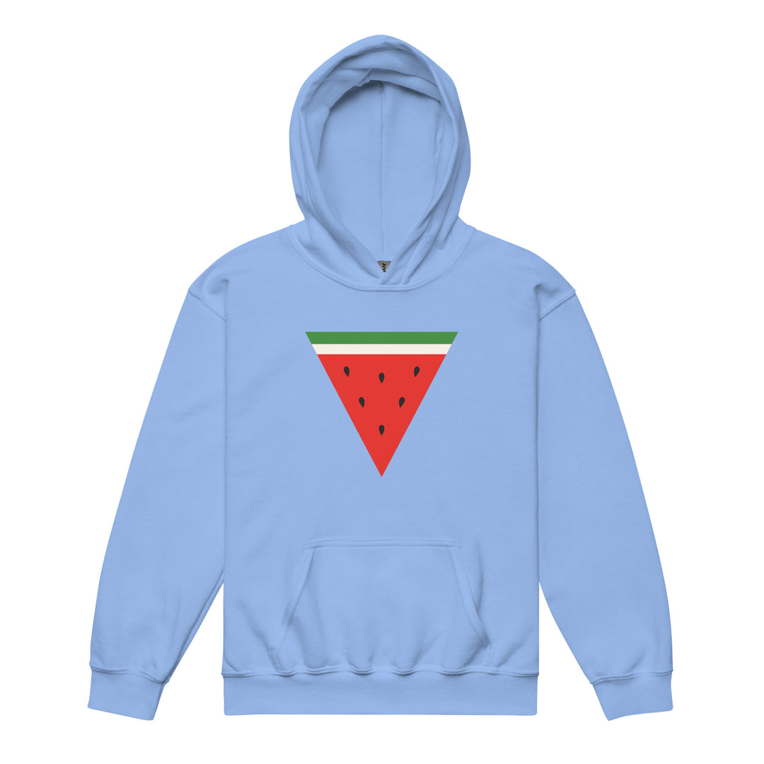 Youth heavy blend hoodie - Triangle Watermelon, Carolina Blue
