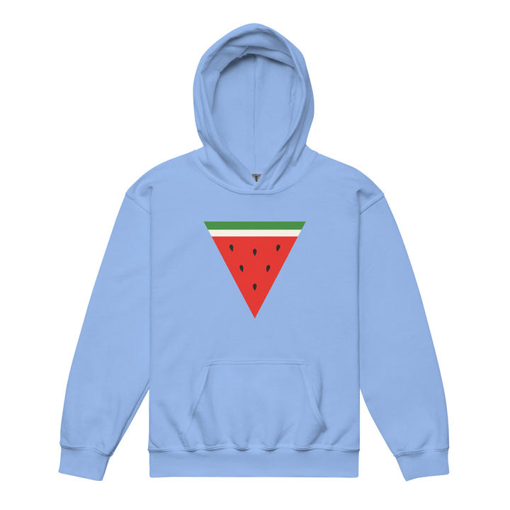 Youth heavy blend hoodie - Triangle Watermelon, Carolina Blue