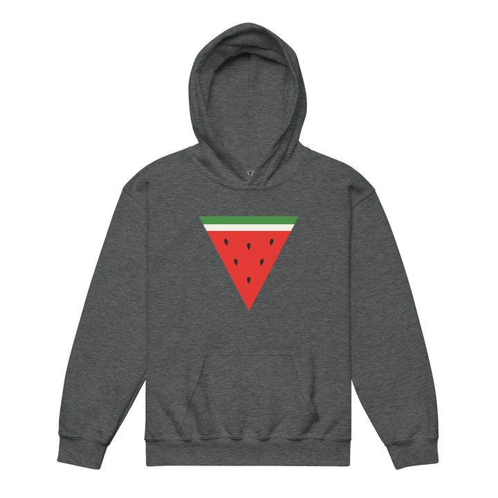 Youth heavy blend hoodie - Triangle Watermelon, Dark Heather