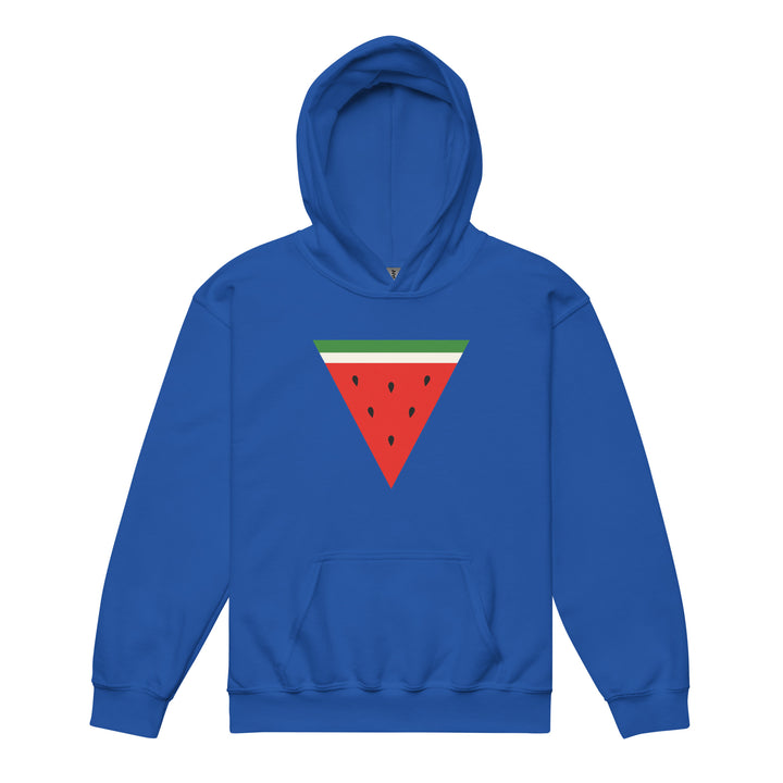 Youth heavy blend hoodie - Triangle Watermelon, Royal