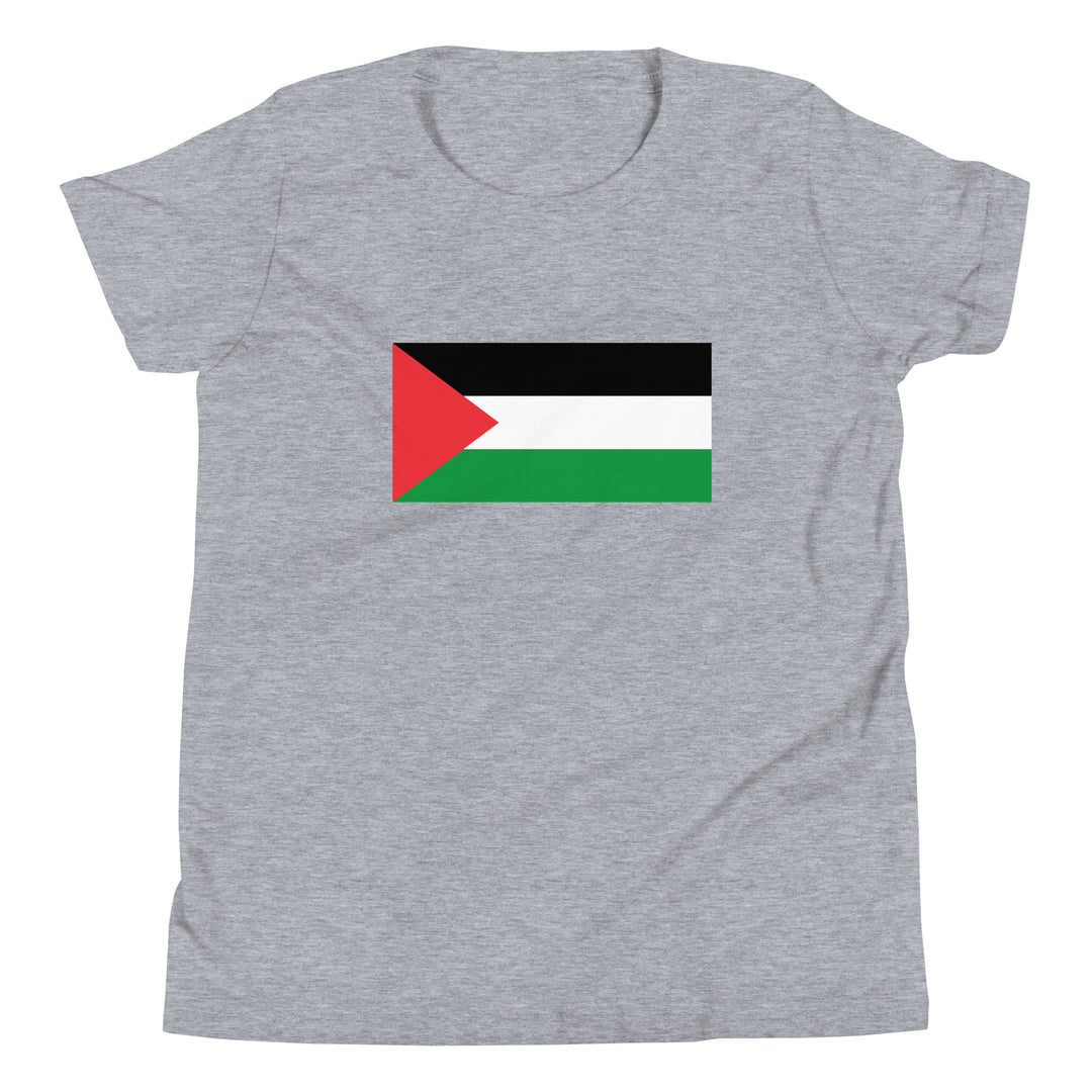 Youth Short Sleeve T-Shirt - Palestine Flag, Heather