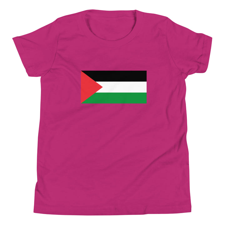 Youth Short Sleeve T-Shirt - Palestine Flag, Berry