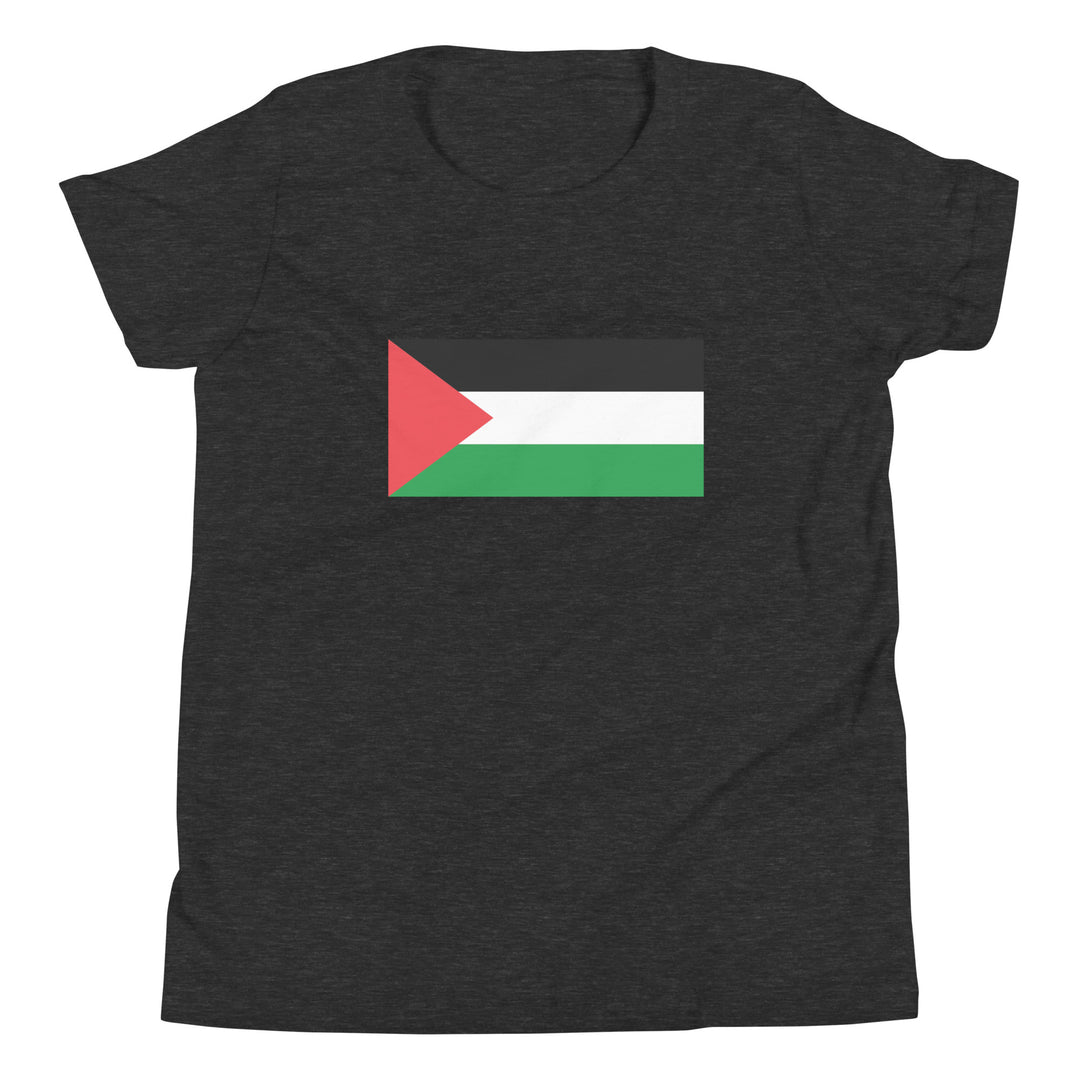 Youth Short Sleeve T-Shirt - Palestine Flag, Dark Grey Heather
