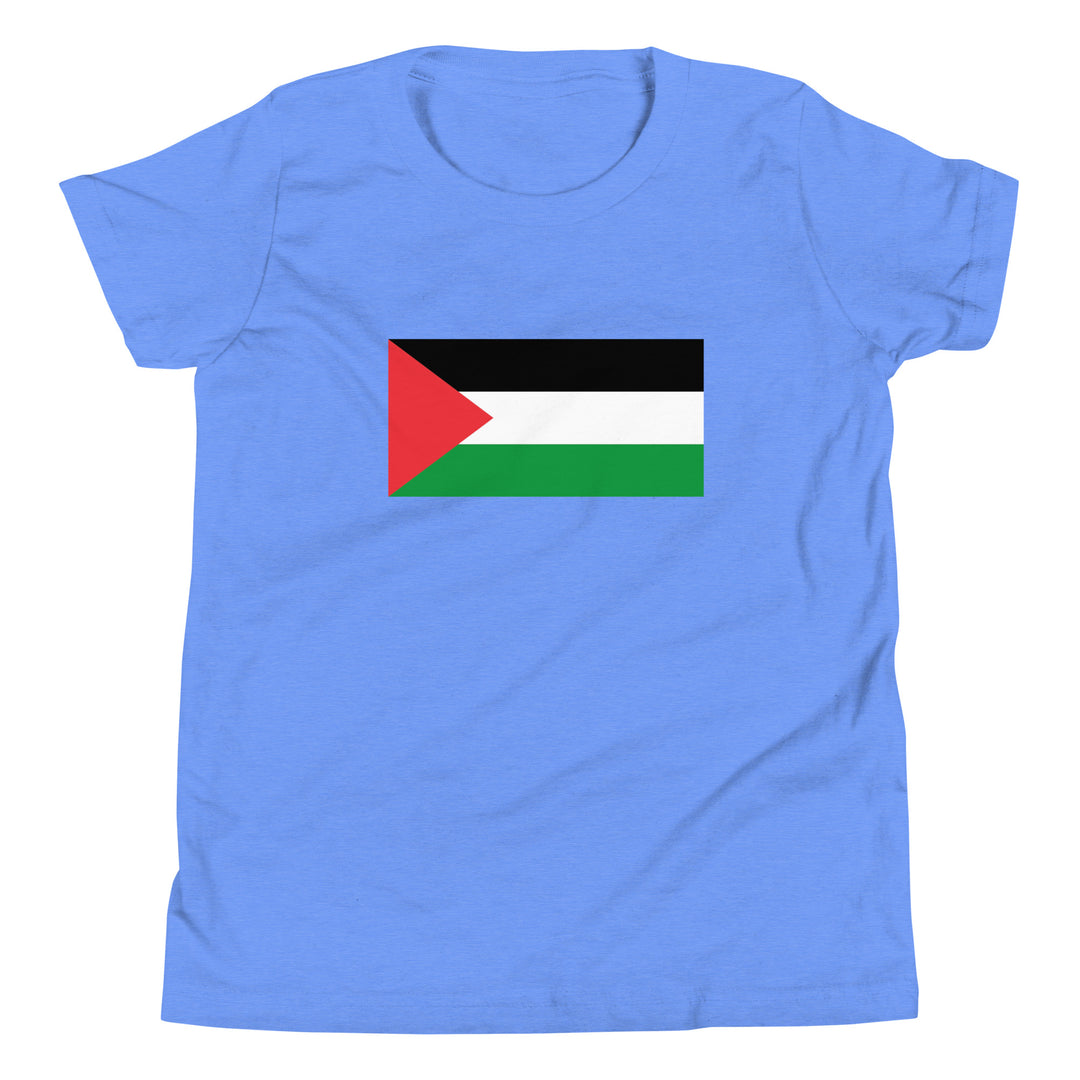 Youth Short Sleeve T-Shirt - Palestine Flag, Heather Columbia Blue
