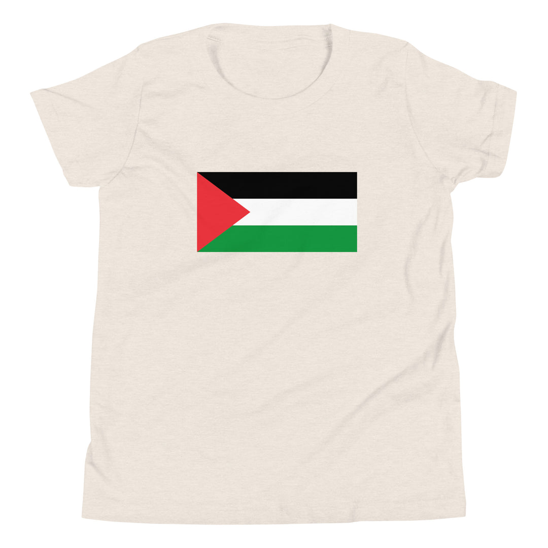 Youth Short Sleeve T-Shirt - Palestine Flag, Heather Dust