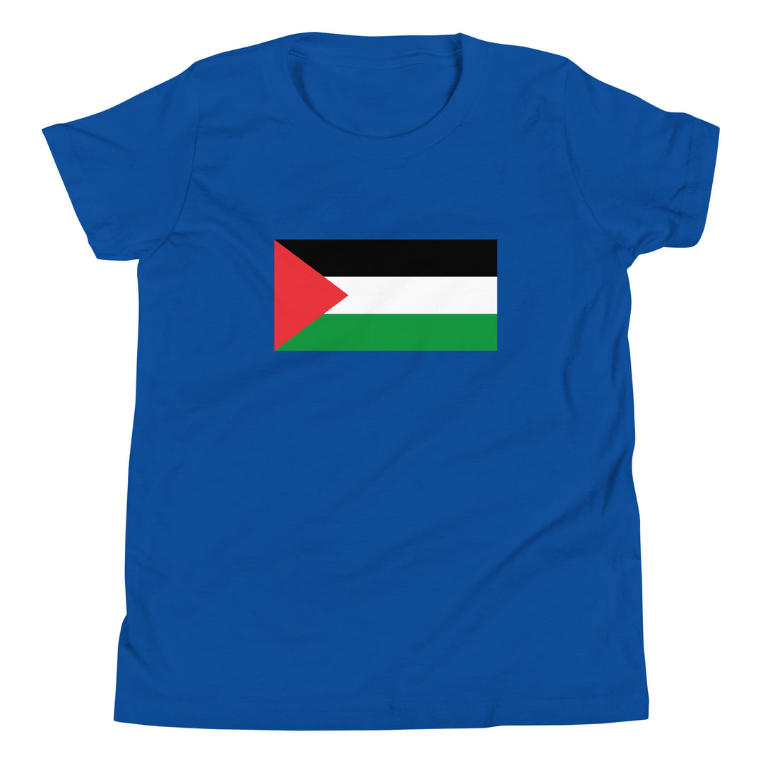 Youth Short Sleeve T-Shirt - Palestine Flag, True Royal