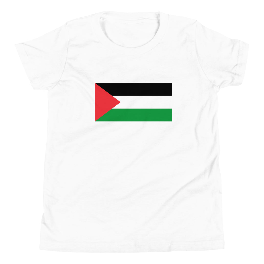 Youth Short Sleeve T-Shirt - Palestine Flag, White