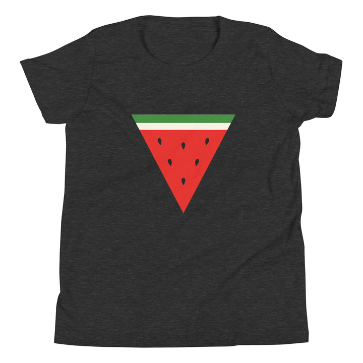 Youth Short Sleeve T-Shirt - Triangle Watermelon, Dark Grey Heather