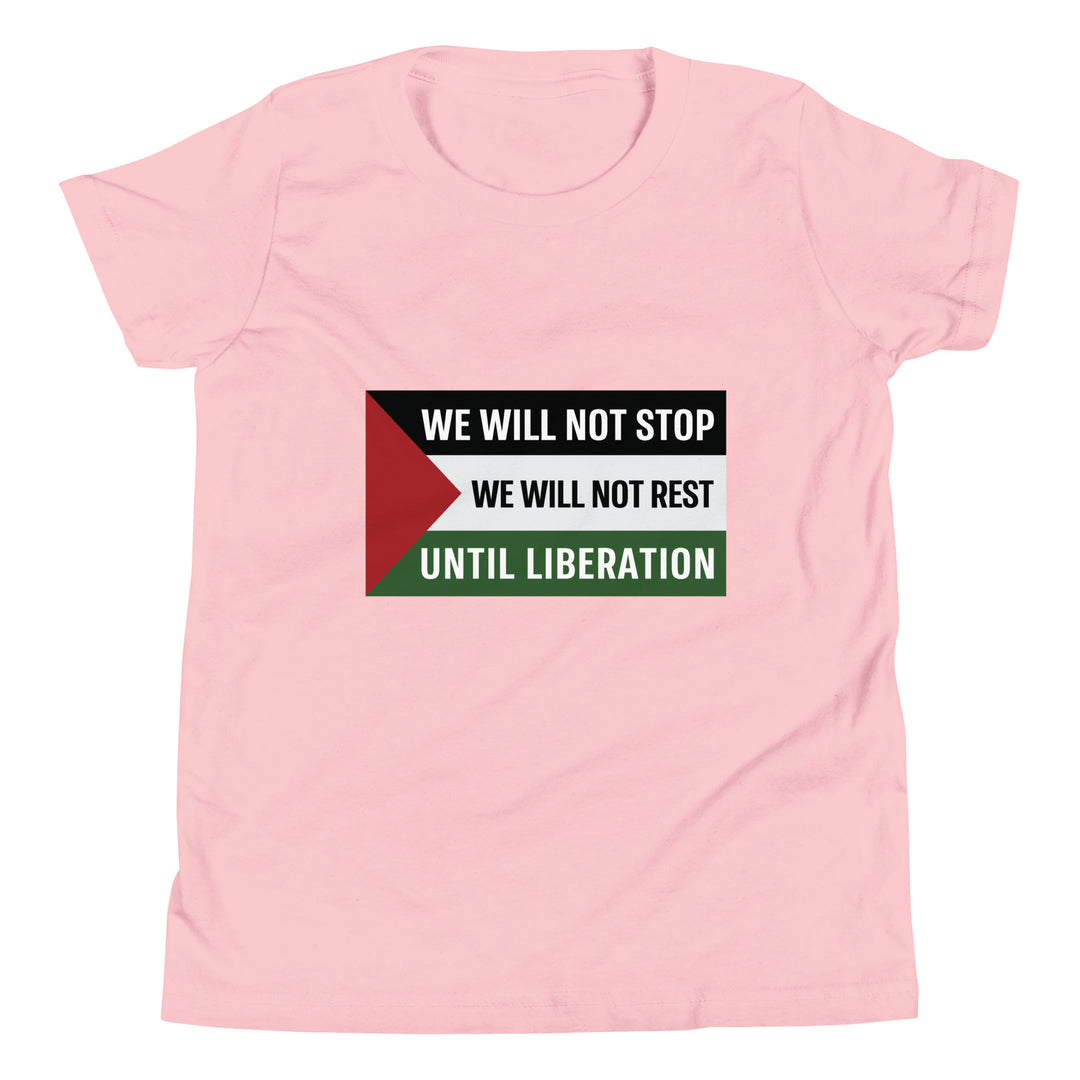 Youth Short Sleeve T-Shirt - We Will Not Stop, Pink